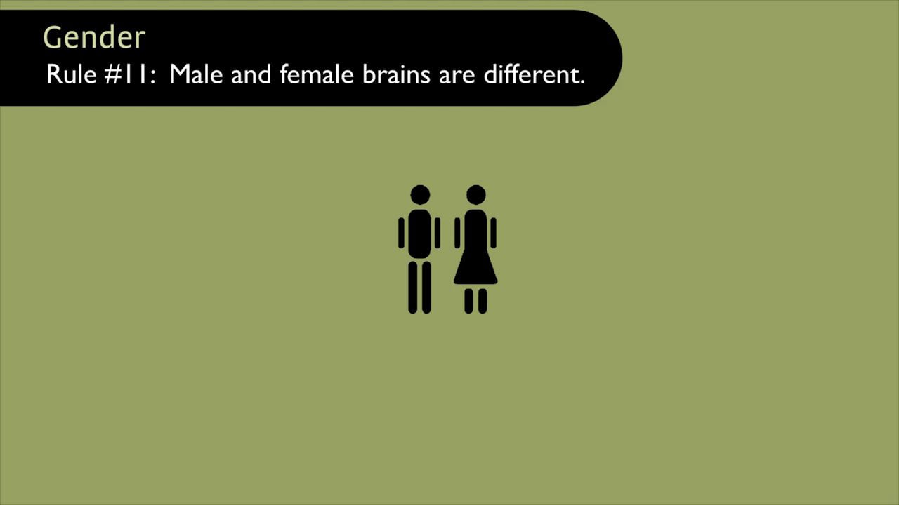Gender: Male and female brains are different (Brain Rules by John Medina)