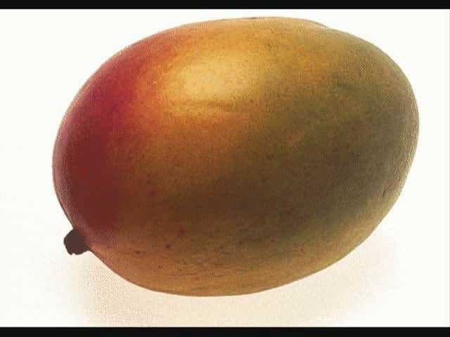 Jim C team mango part on Vimeo