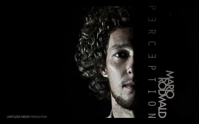Mario Rodwald - Perception
