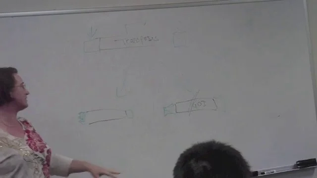 Exam 2 Review pt 1 on Vimeo