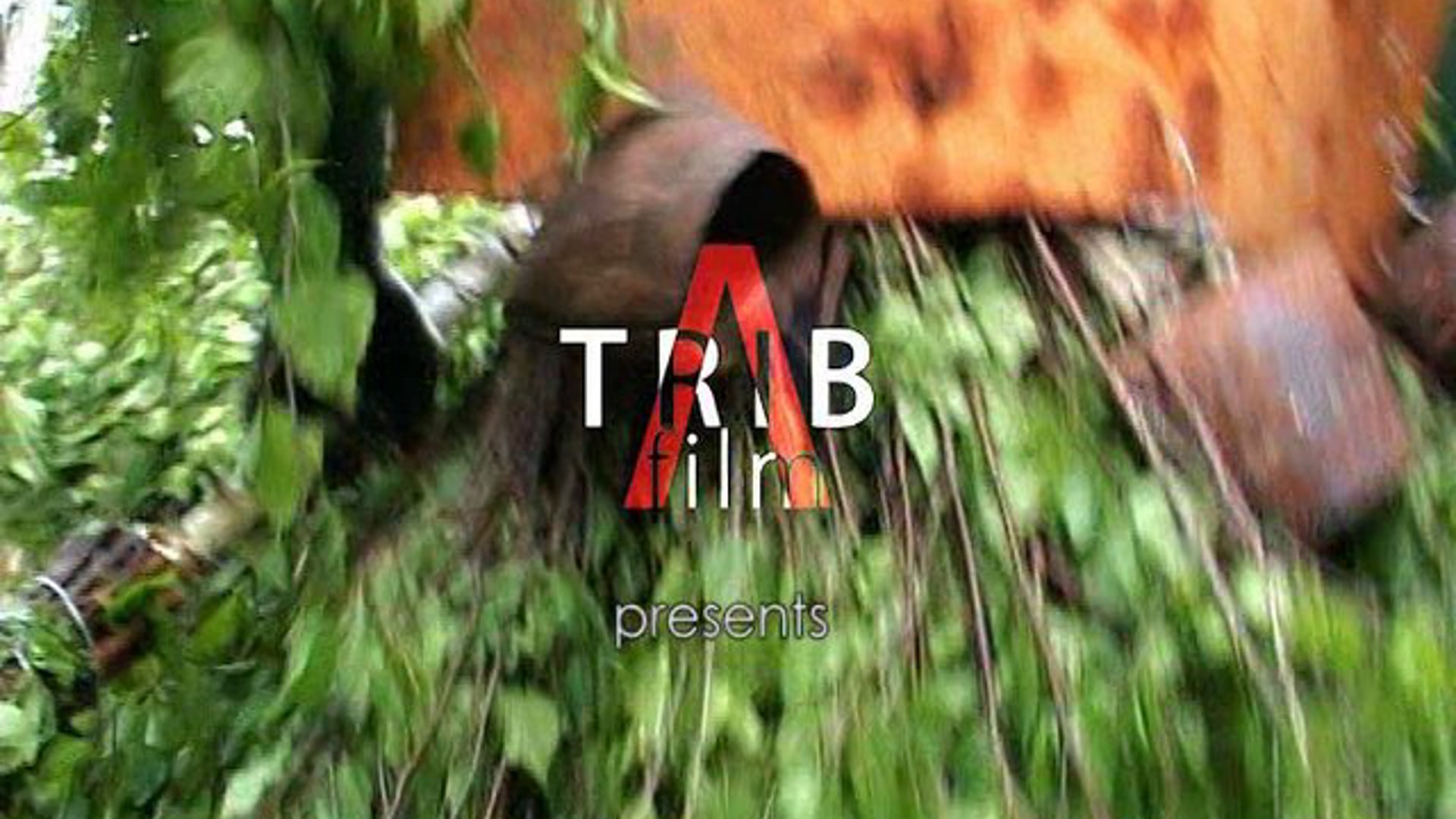 Looking at themselves - Babaluda Luda