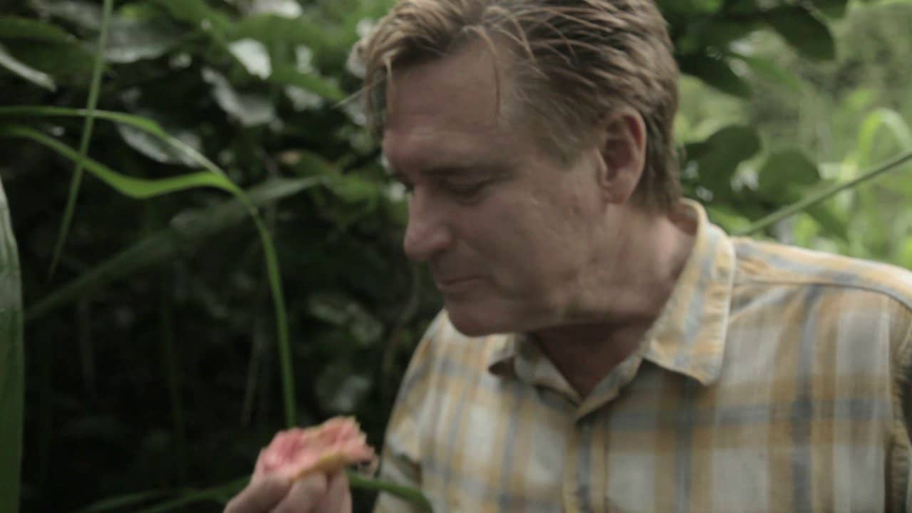 The Fruit Hunters Clip 1 Willy Wonka's Factory on Vimeo