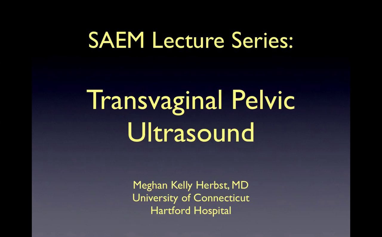 Transvaginal Pelvic Ultrasound