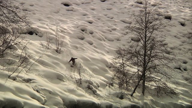 Colin Spencer season 2011-12 from Forrest Miller