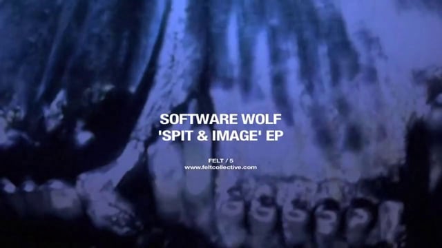 Software Wolf - Spit & Image EP thumbnail