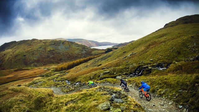 From Fell To Forest from Sam Needham