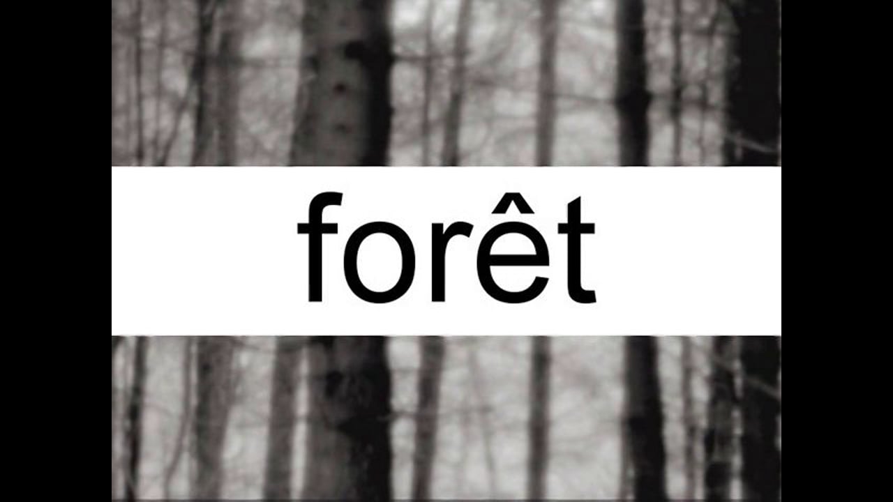plab - 27 - forêt