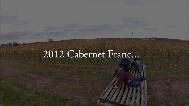 2012年 カベルネ・フランの収穫