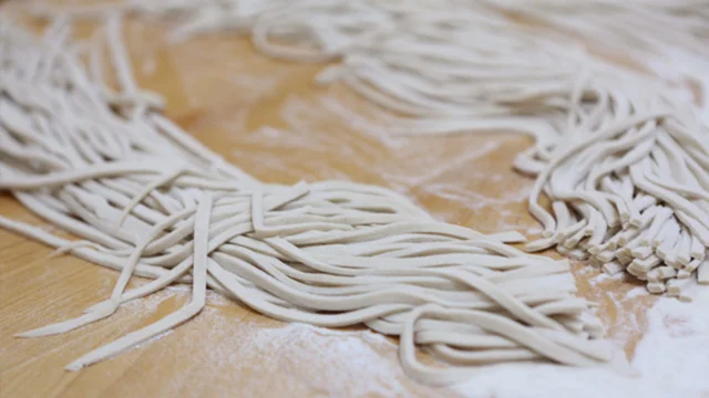 Mob — Homemade Udon Noodles