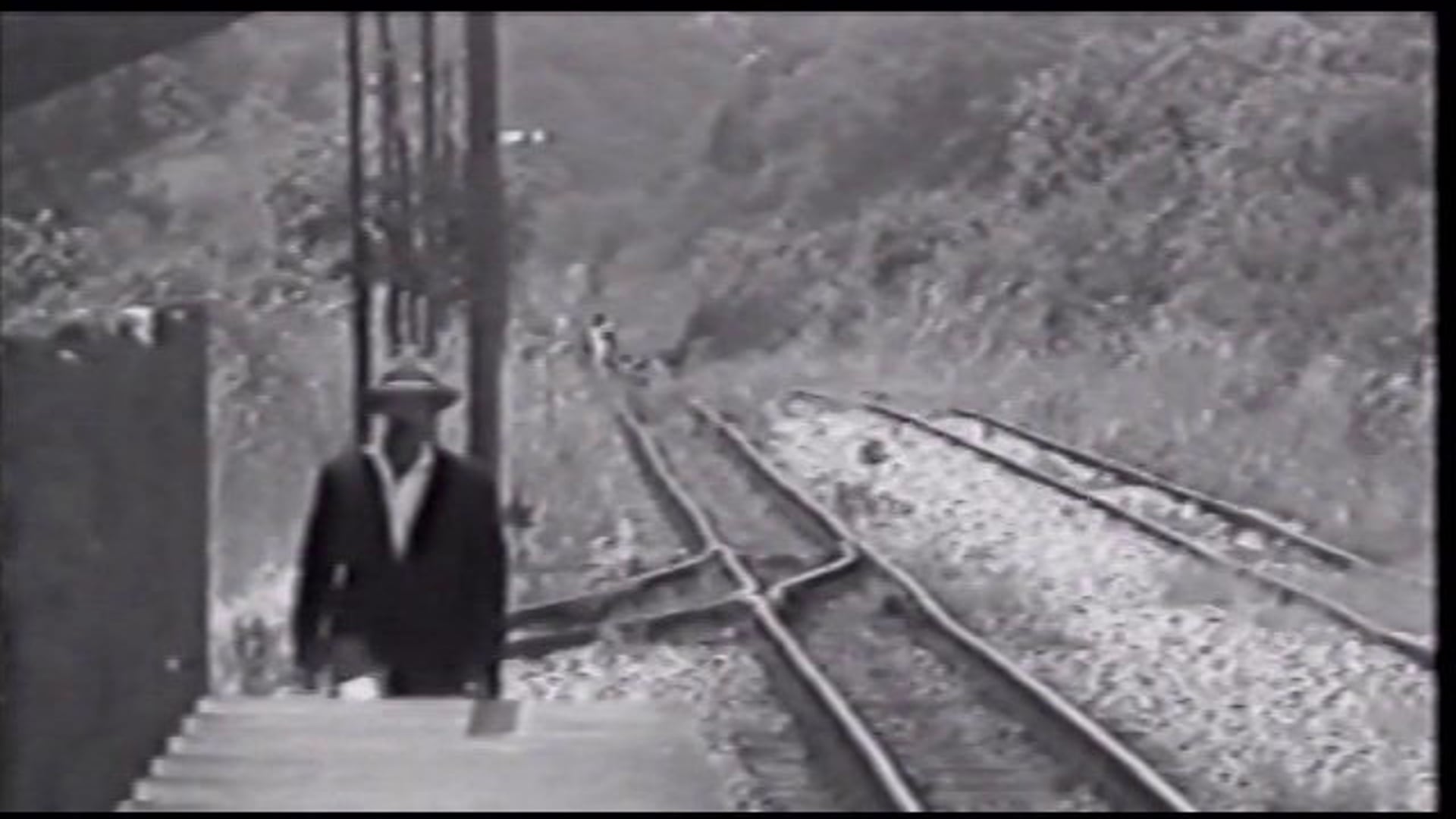 O Apito - The Whistle
