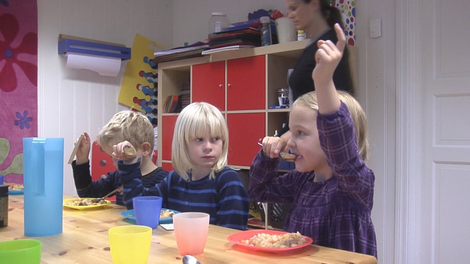 Eksempler på tidlig innsats i barnehage