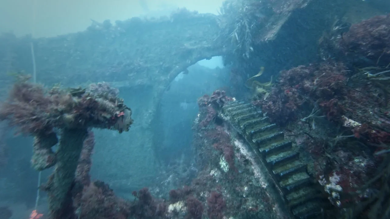 George Kermode wreck dive GoPro Hero3 Black edition on Vimeo
