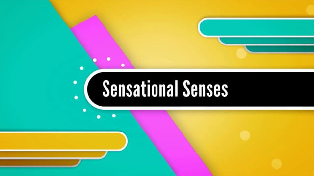 Publish_SensationalSenses_01/02/2013