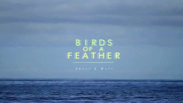 Birds of a Feather from Sitka