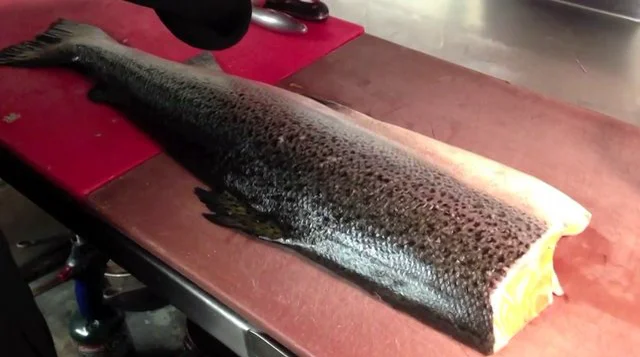 How To Clean Flounder & Halibut Like A Pro! (Video)