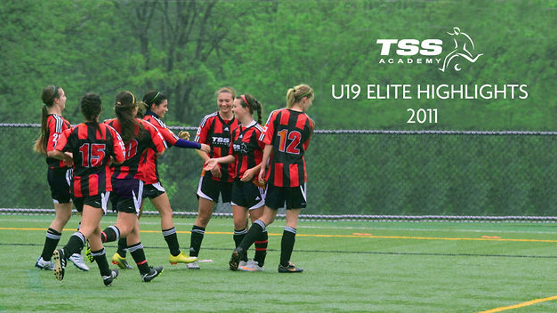 TSS Black Highlights (2011-2012)