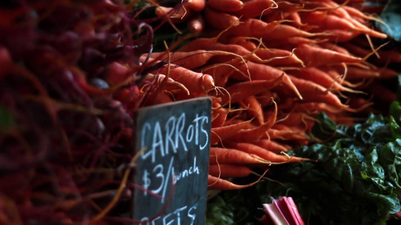 "LivingTheDream" | Gaining Ground Farm | Grae Skye Studio