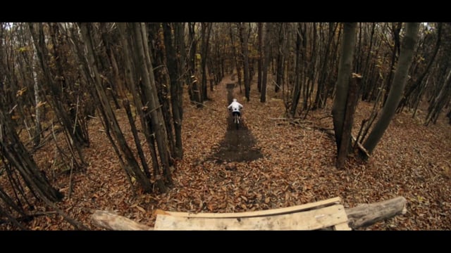 FEDERICO VALENZISI - Fast Autumn