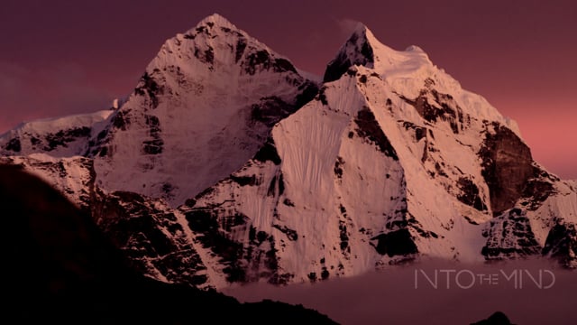Into The Mind – Official Teaser from Sherpas Cinema