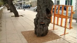 Millores al Passeig