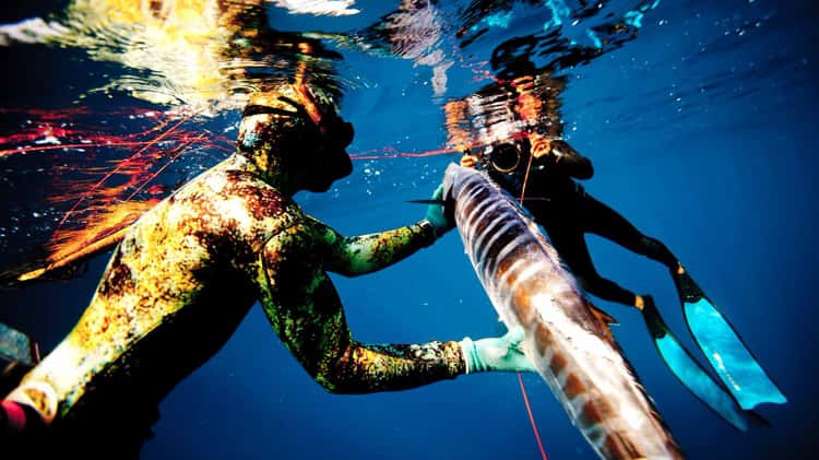 Spearfishing – Spear Fishing Baja