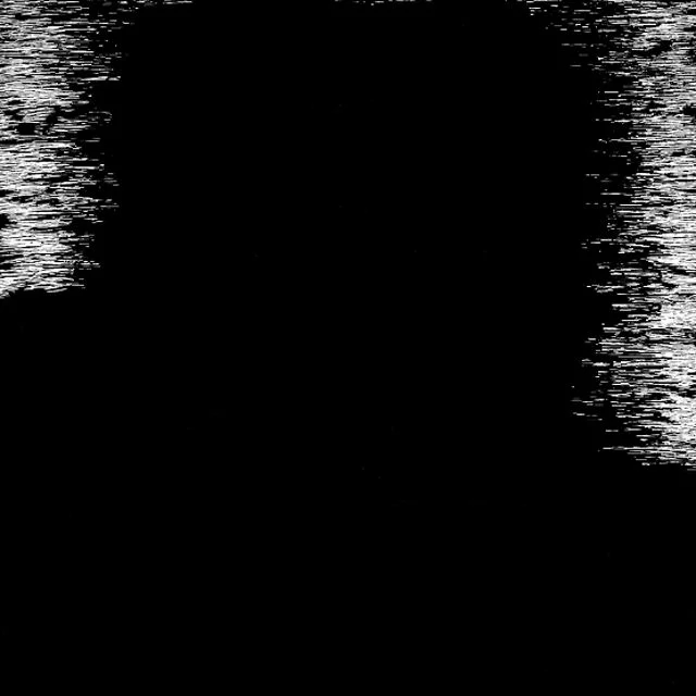 Sea Lion Scratchboard Animation by Ian Stirewalt on Vimeo