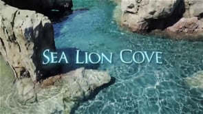 Fresno Chaffee Zoo - Customer Success Story