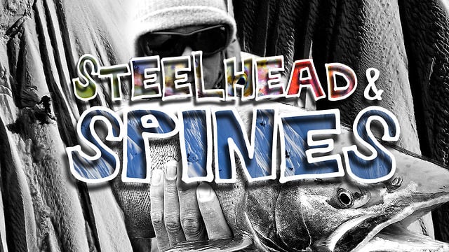 Steelhead and Spines- Volume One from The Provo Bros