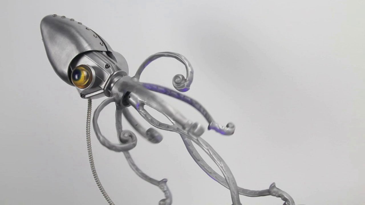 Baby Squid in motion