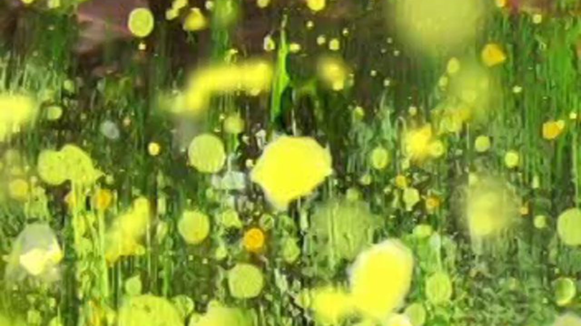 Hide-1min00-Olivier-2004