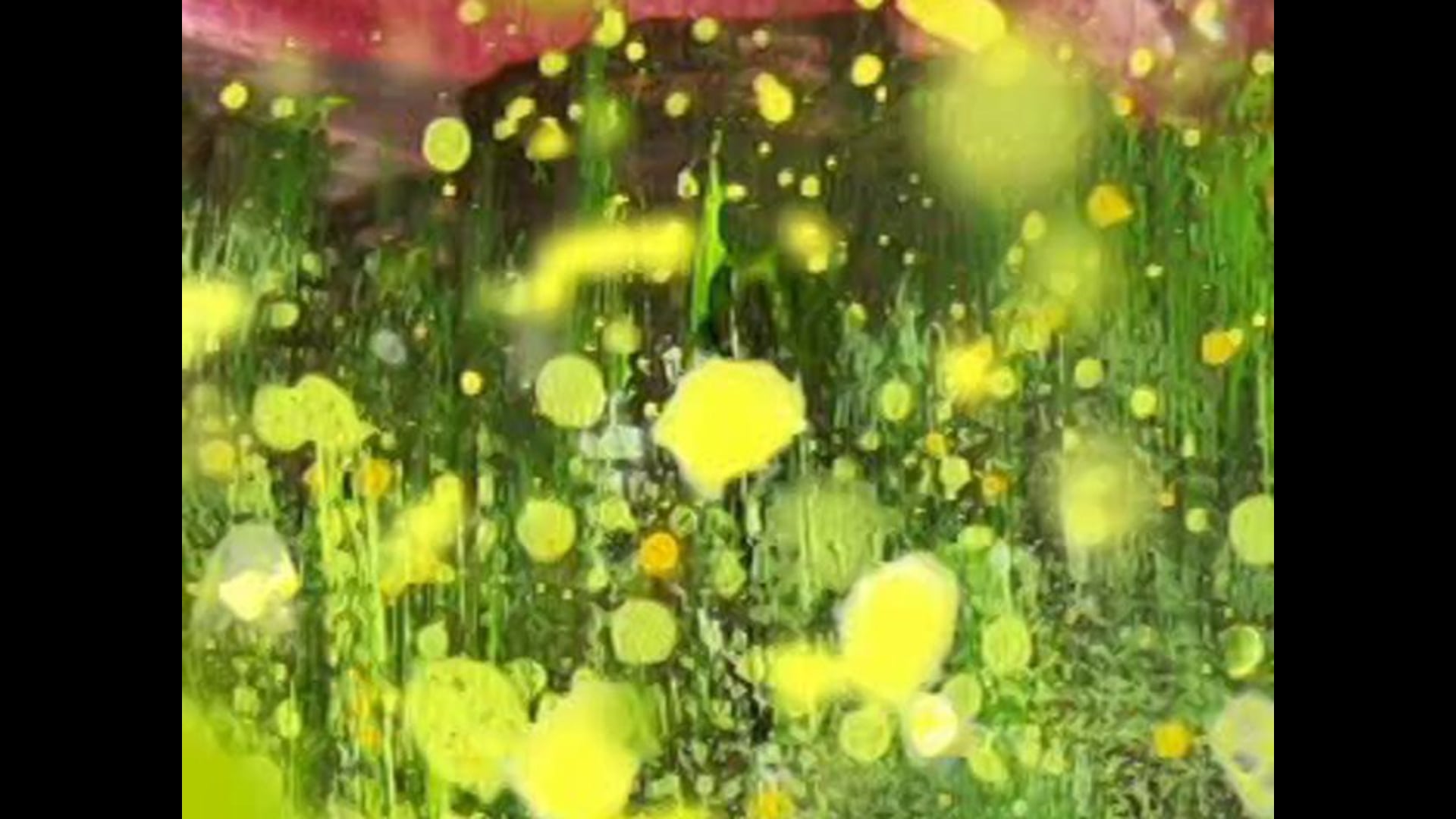 Hide-1min00-Olivier-2004