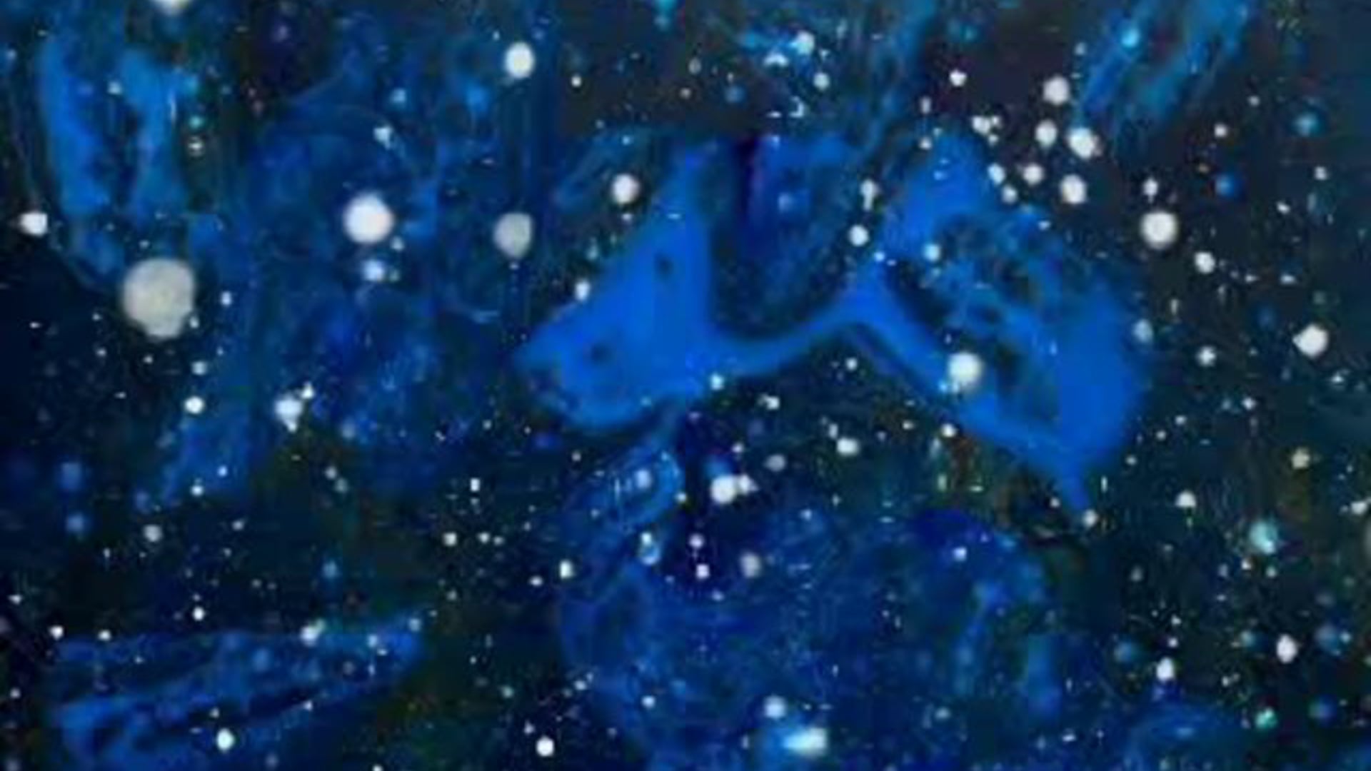 Birds-1min30-Olivier-2003