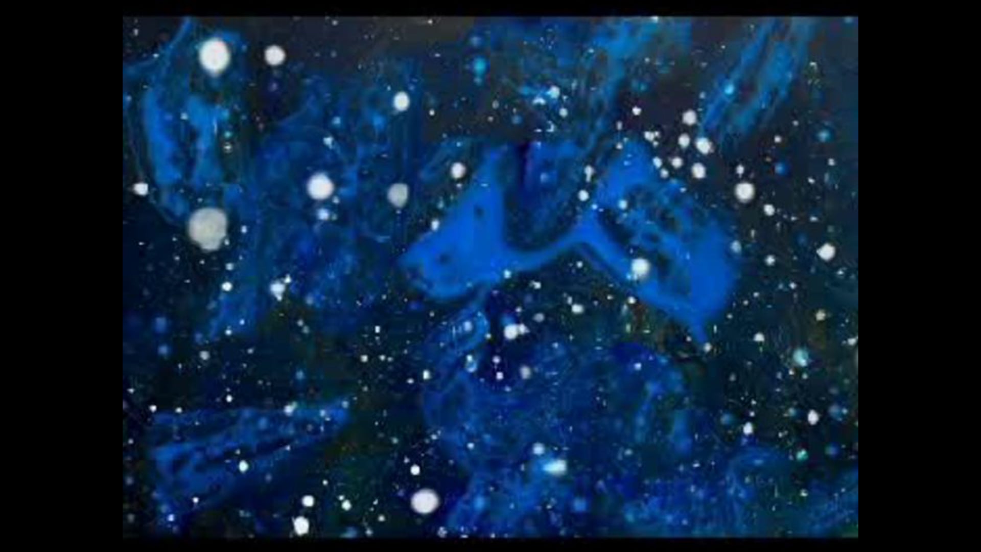 Birds-1min30-Olivier-2003