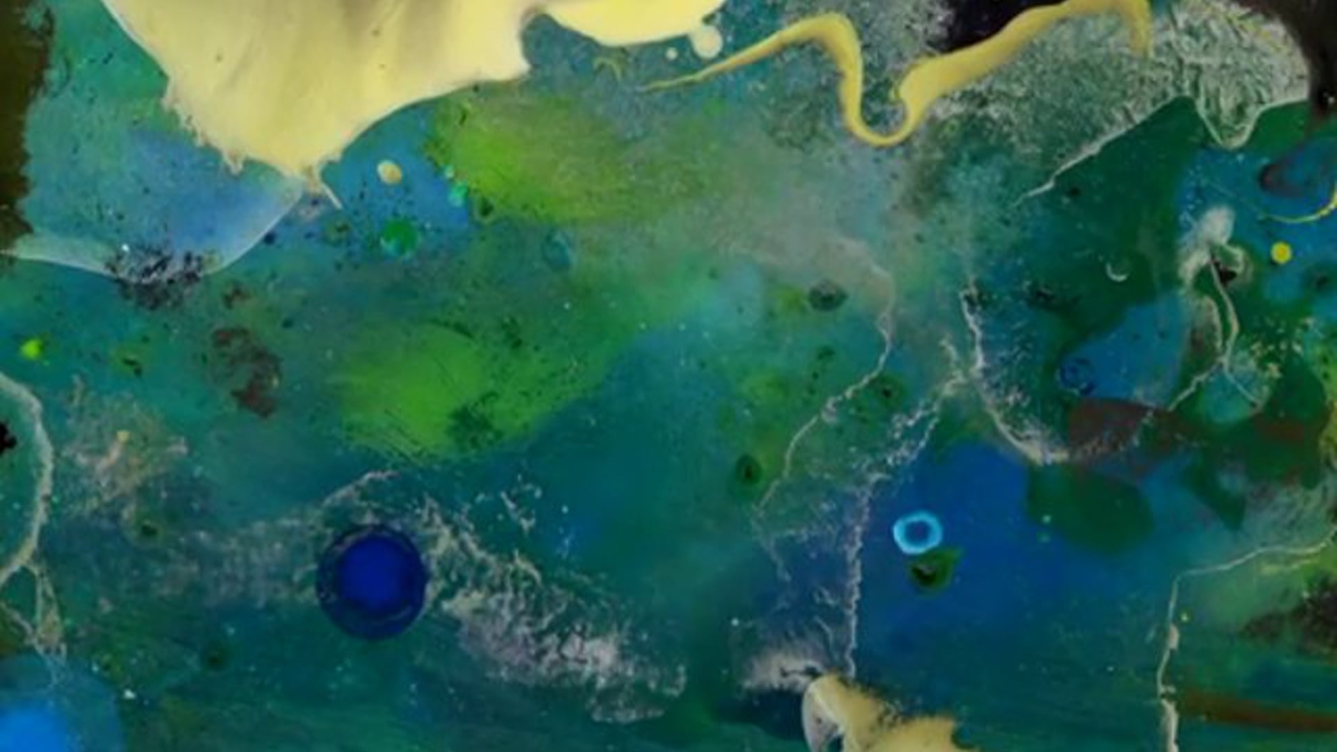 Rabbit hole-(msp)-3min10-2011