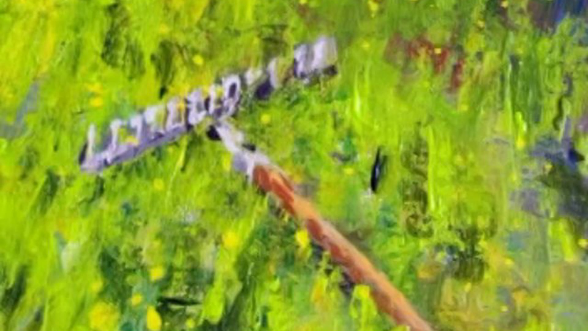 Home-1min13-Olivier-2006