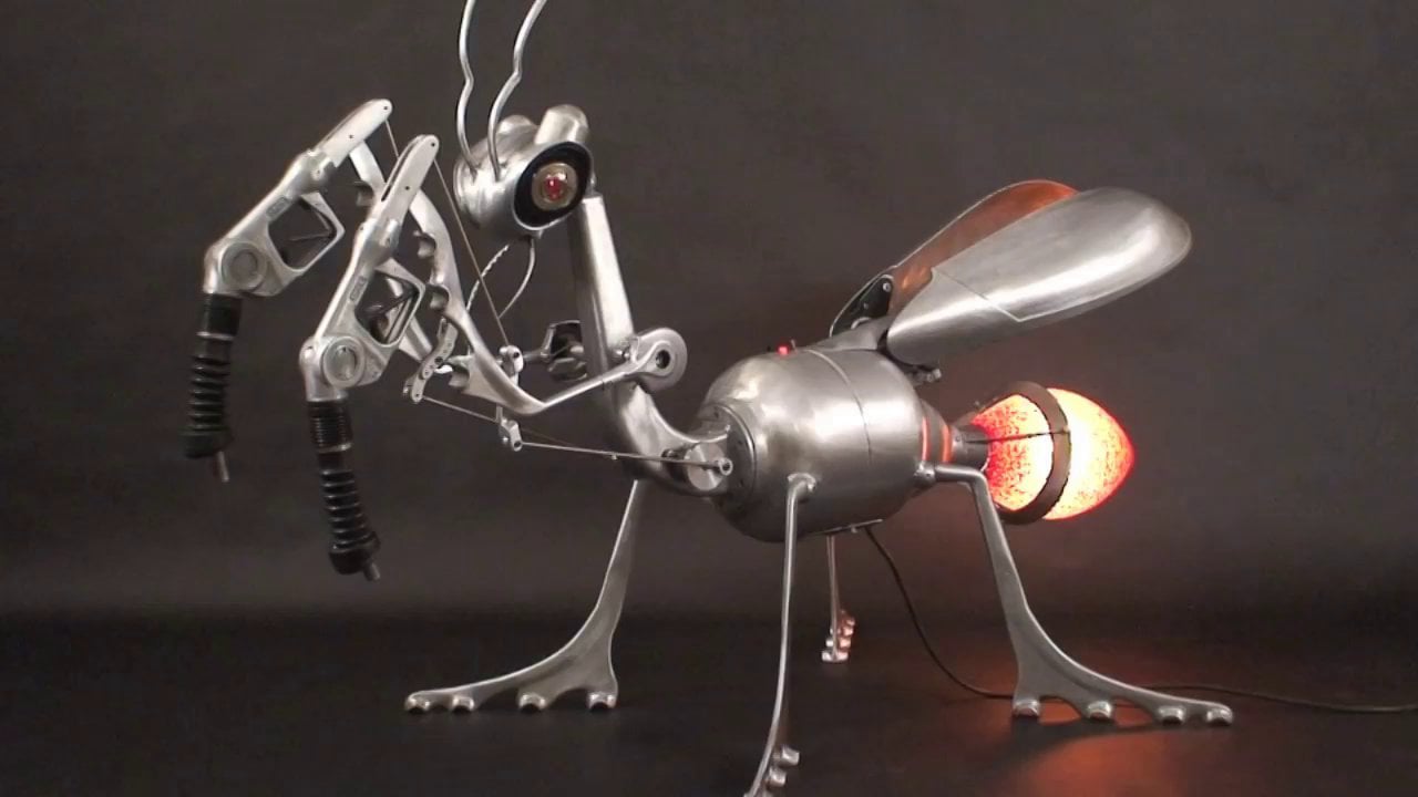 Praying Mantis in motion