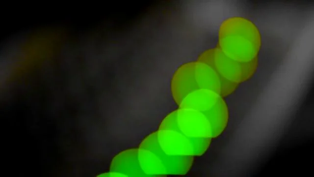 vimeo.com
