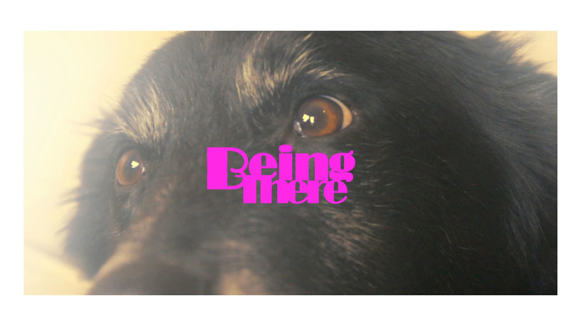 Being There