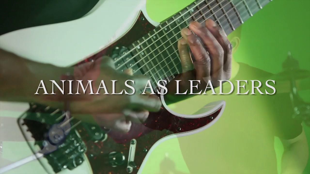Animals as Leaders - behind the scenes