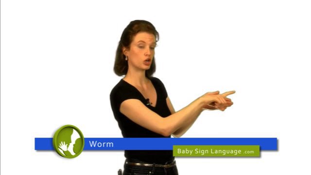 Worm.mp4 on Vimeo
