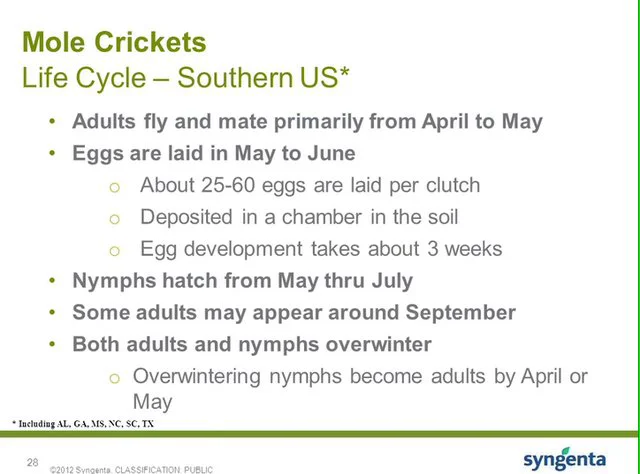 Knowledge About Nematodes: Free Webinar! – ONfloriculture