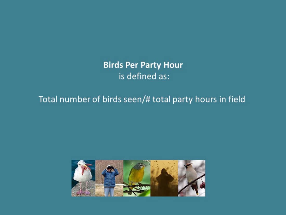 Christmas Bird Count 2022 Rare Bird Form Christmas Bird Count Compiler Resources | Audubon