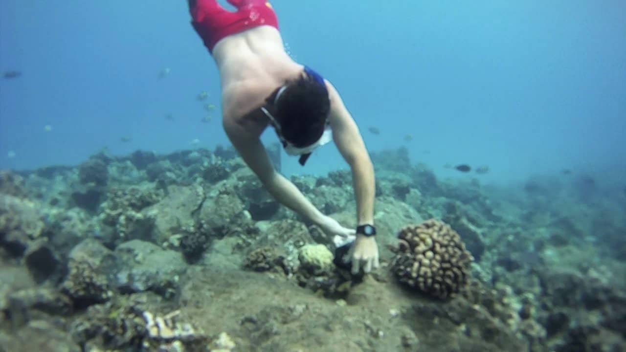 Free diving at Electric Beach, Oahu on Vimeo