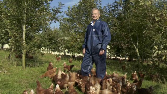 MCDONALD'S SUSTAINABLE SUPPLIERS - THE LAKES FREE RANGE EGG COMPANY