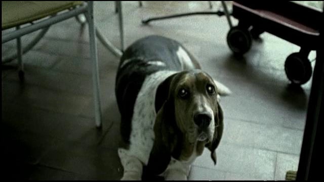 IMAGINARIUM | LET'S PLAY