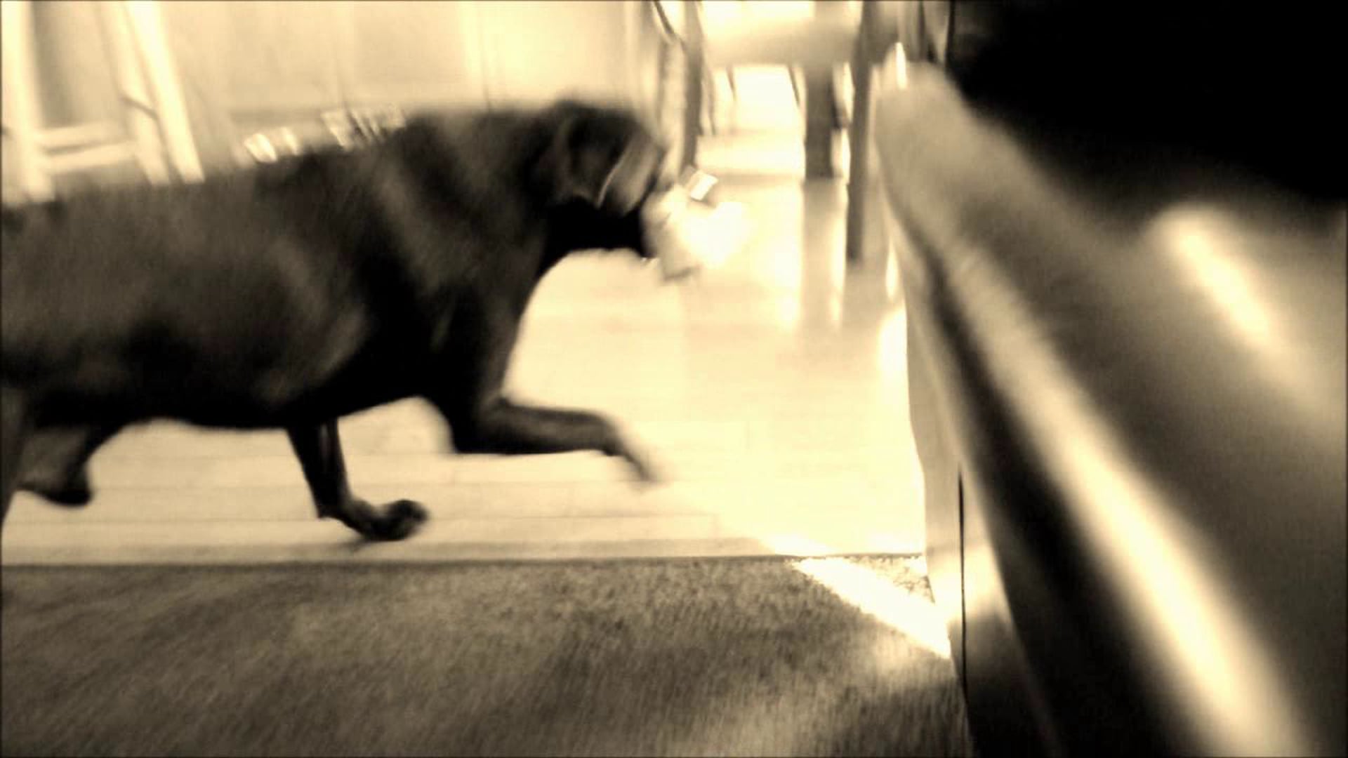 BradleyVideo720p