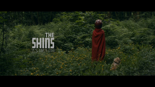 The Shins - It's Only Life thumbnail