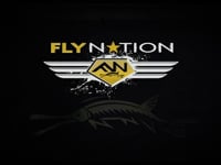 Fly Nation Season 2