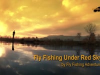 Fly Fishing Under Red Sky