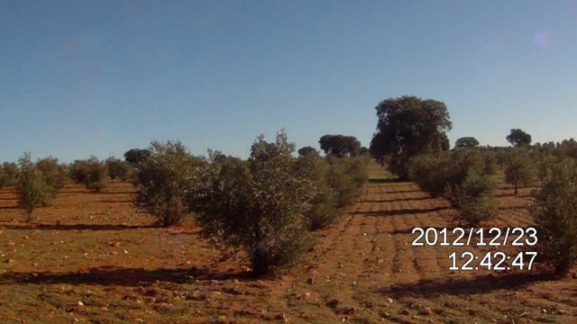 liebre2